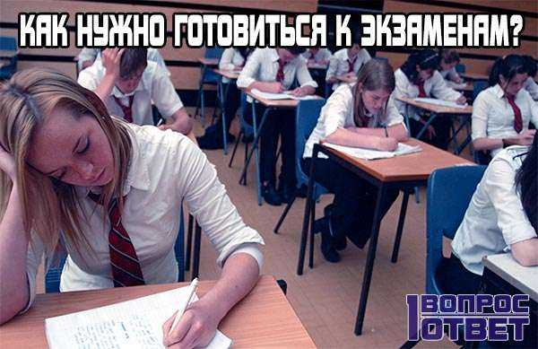 Порно Русское Студенты Экзамен