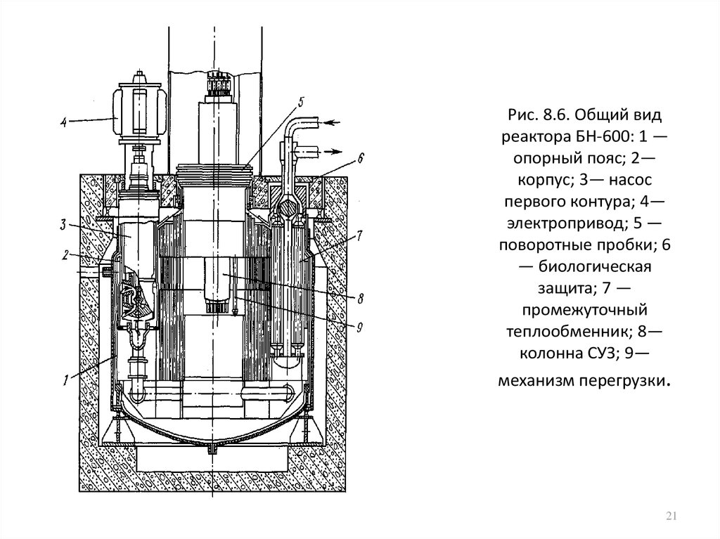 Чертеж атомного реактора