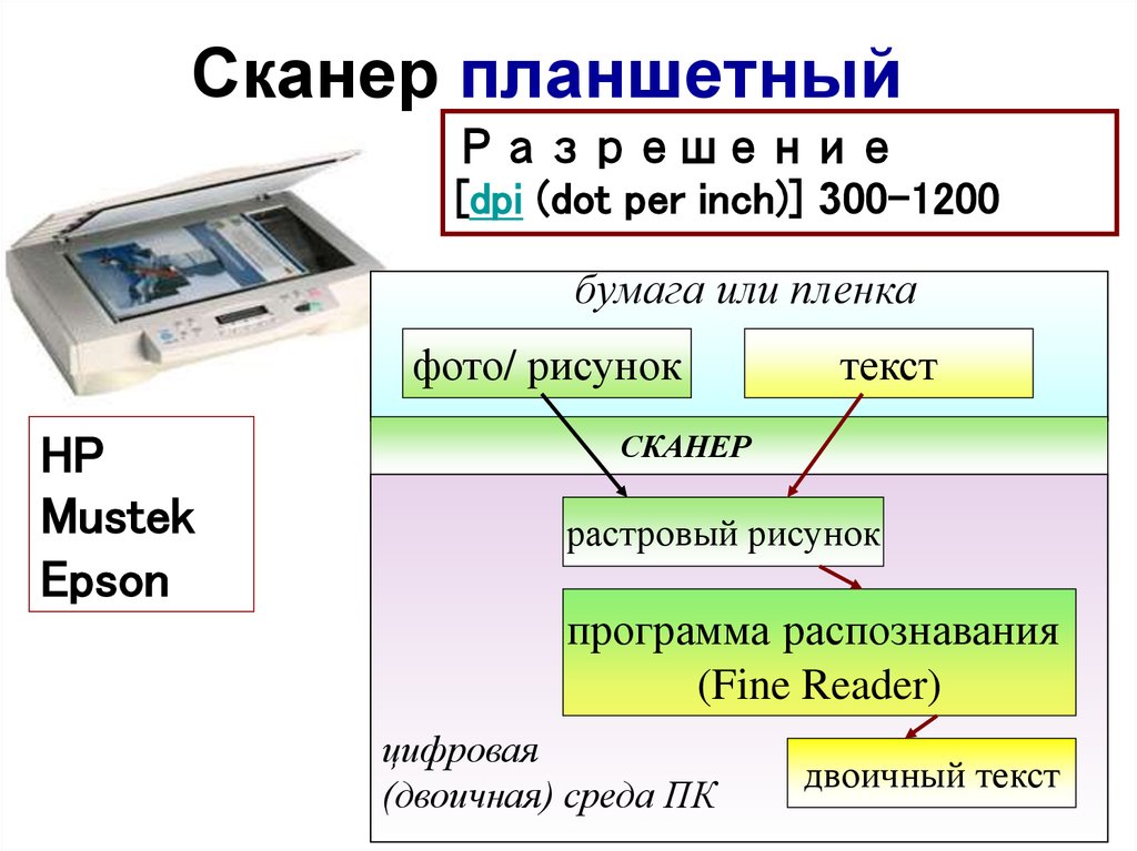 Считывание слов с картинки онлайн