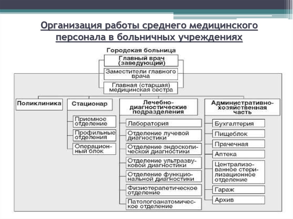 Схема терапевтического отделения