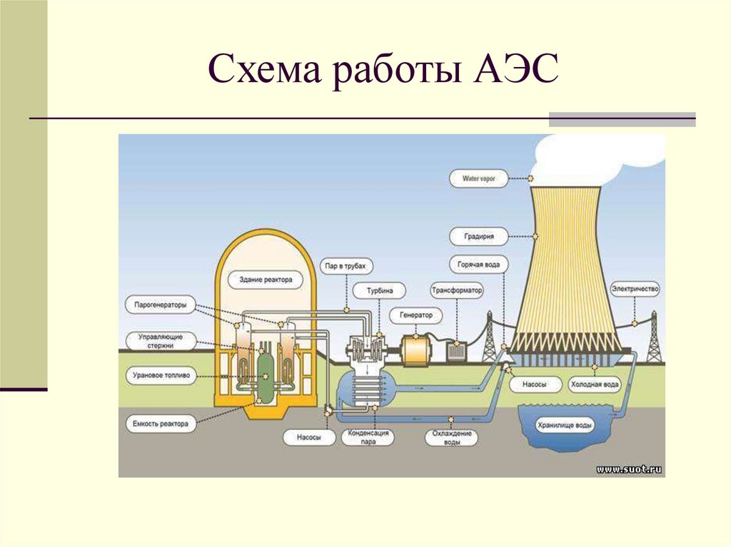 Принципиальная схема атомной электростанции