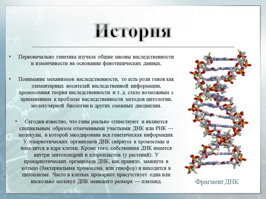 Презентация по медицинской генетике