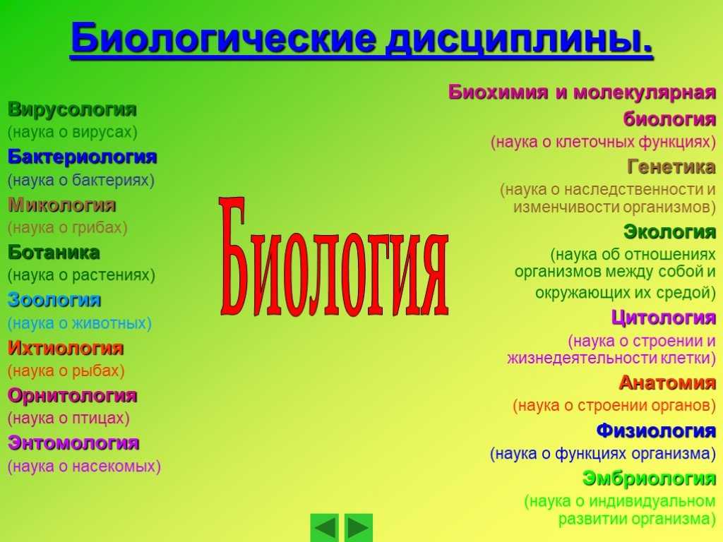 Как выучить биологию с нуля самостоятельно: Как учить биологию ...