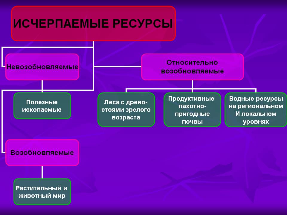 Невозобновляемые природные ресурсы проект