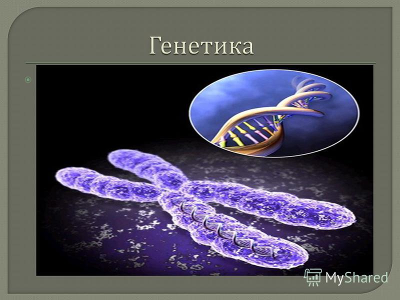 Современная генетика презентация