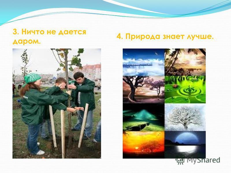 Природа знает лучше