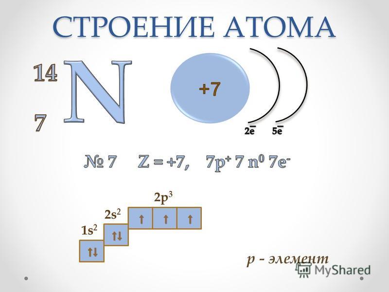 Характеристика атома брома. Электронно-графическая схема атома никеля. Строение атома скандия схема. Скандий электронная формула и графическая.
