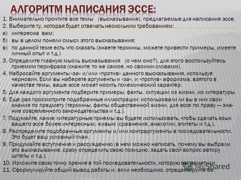 Как пишется эссе по истории план и пример