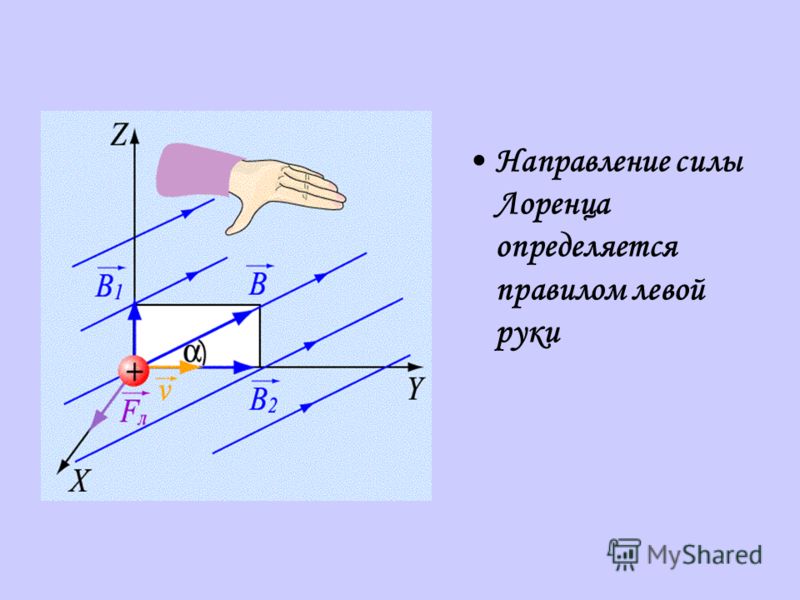 Определите величину и направление силы ампера действующей в изображенном на рисунке случае