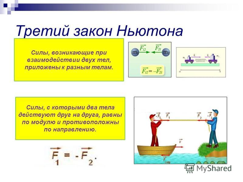 1 ньютон это сколько г. Третий закон Ньютона.