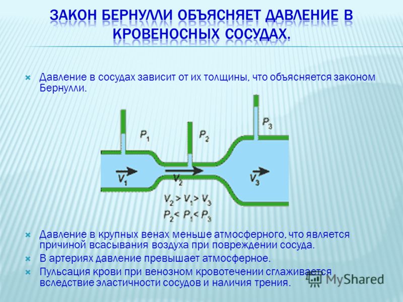 Закон бернулли картинки