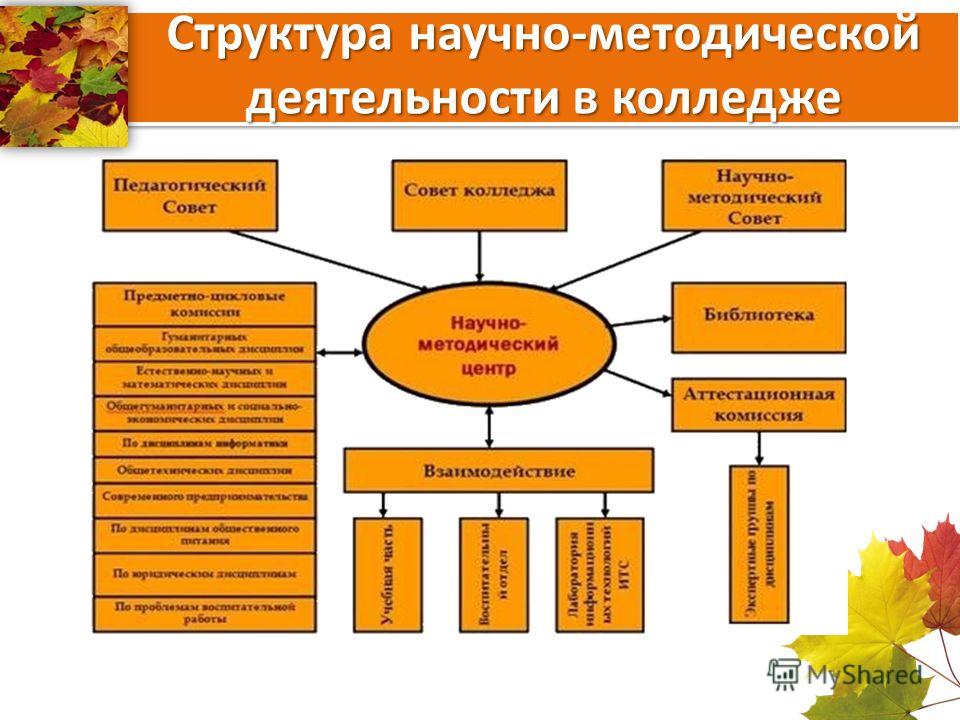 Выполнение индивидуального проекта в спо по общеобразовательным дисциплинам