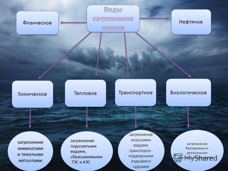 Виды экологических проблем в океане