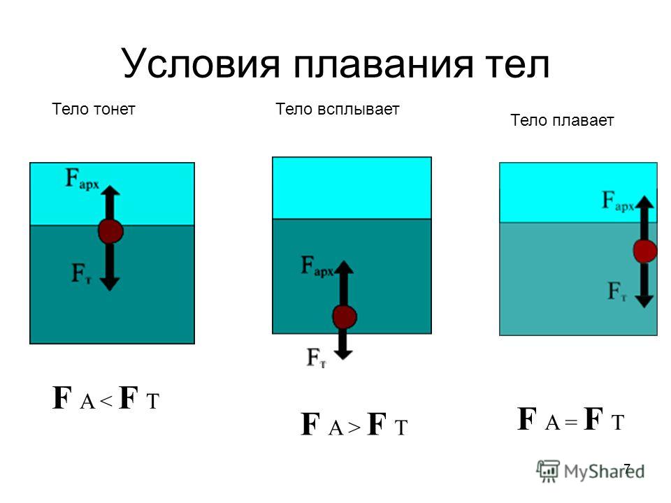 Тело плавает если. Условия плавания тел. Условия плавания тел в жидкости. Плавание тел. Условия плавания тел физика.