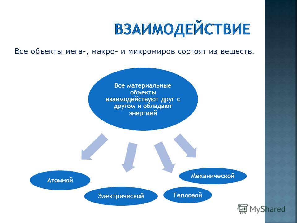 макро и микромир естествознание 5 класс презентация