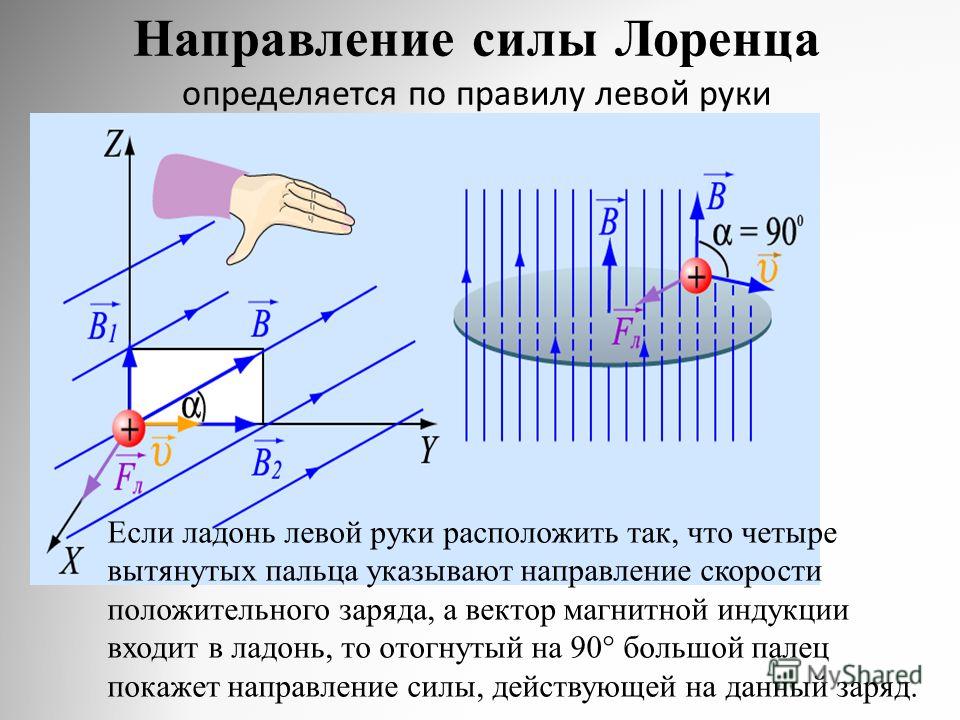 Сила лоренца левая. Направление силы Лоренца определяется по правилу левой руки. Сила Лоренца направление по правилу левой руки. Вектор магнитной индукции правило левой руки. Правило для определения направления силы Лоренца.