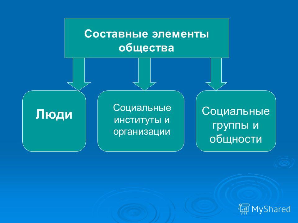 Структура социальной жизни. Основные элементы общества. Составные элементы общества. Основные элементы структуры общества. Элементы общества как системы.