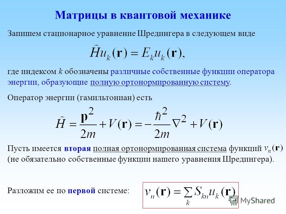 Рыбам сложно в квантовой Пикабу