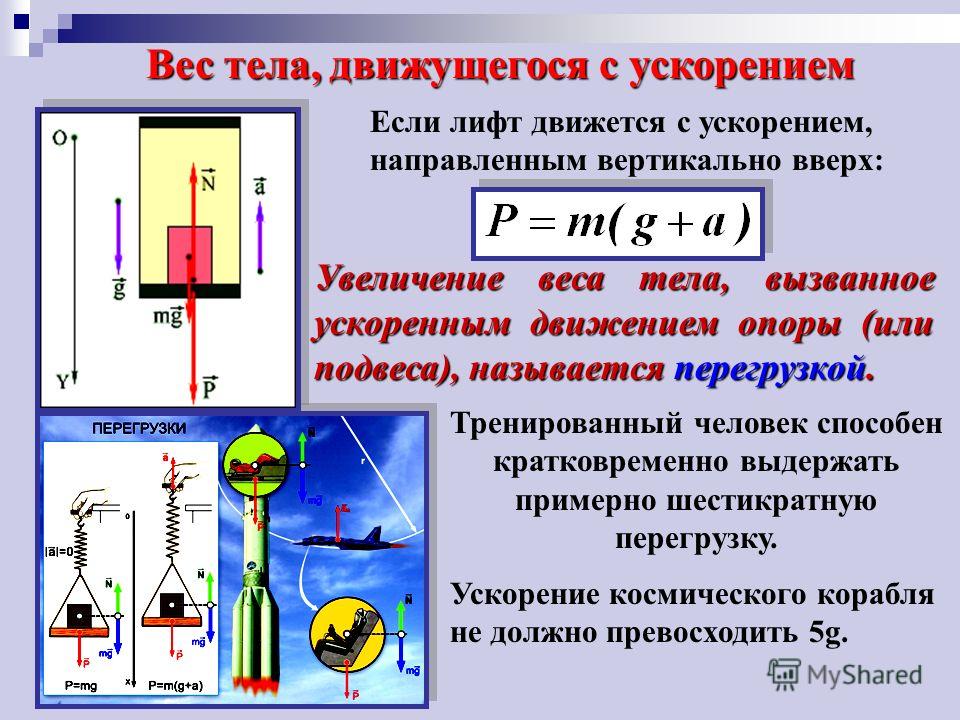 У Кратоса появится коллекционный бюст за 58 тысяч рублей