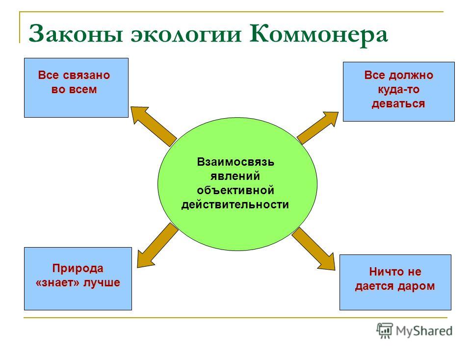 Коммонер и законы экологии презентация