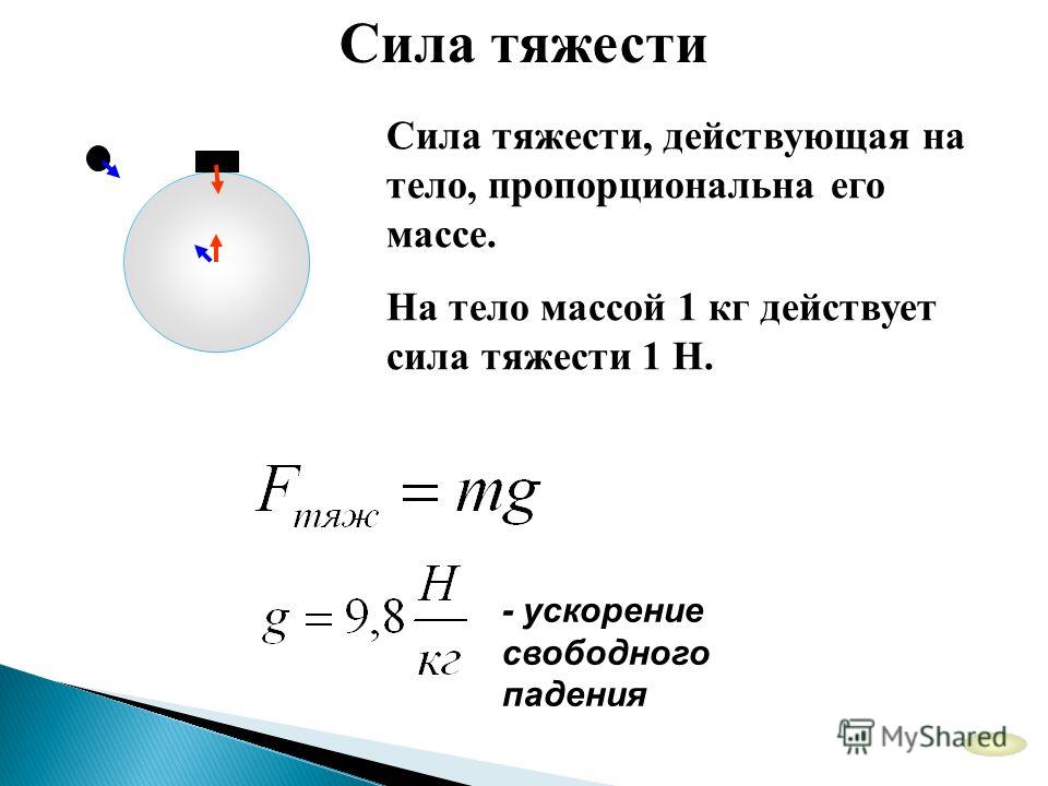 Сила тяжести вес тела 7 класс физика