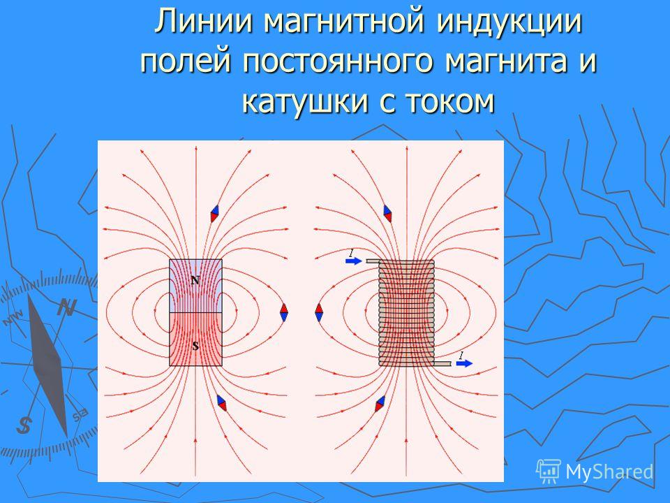 На рисунке указано положение магнитных линий поля