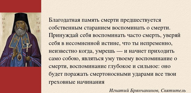 Может ли диплом потерять силу В течение какого срока действует диплом об образовании - Санкт-Петербургское государственное бюджетное учреждение социального обслуживания населения