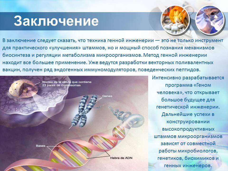 Проект геном человека реферат