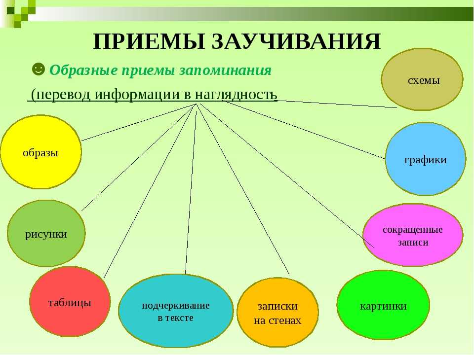 Методика обучения рисунку по памяти и представлению