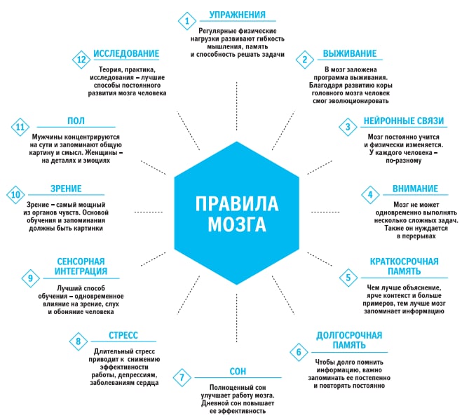 Прокачай свою память как читать и запоминать большие объемы информации