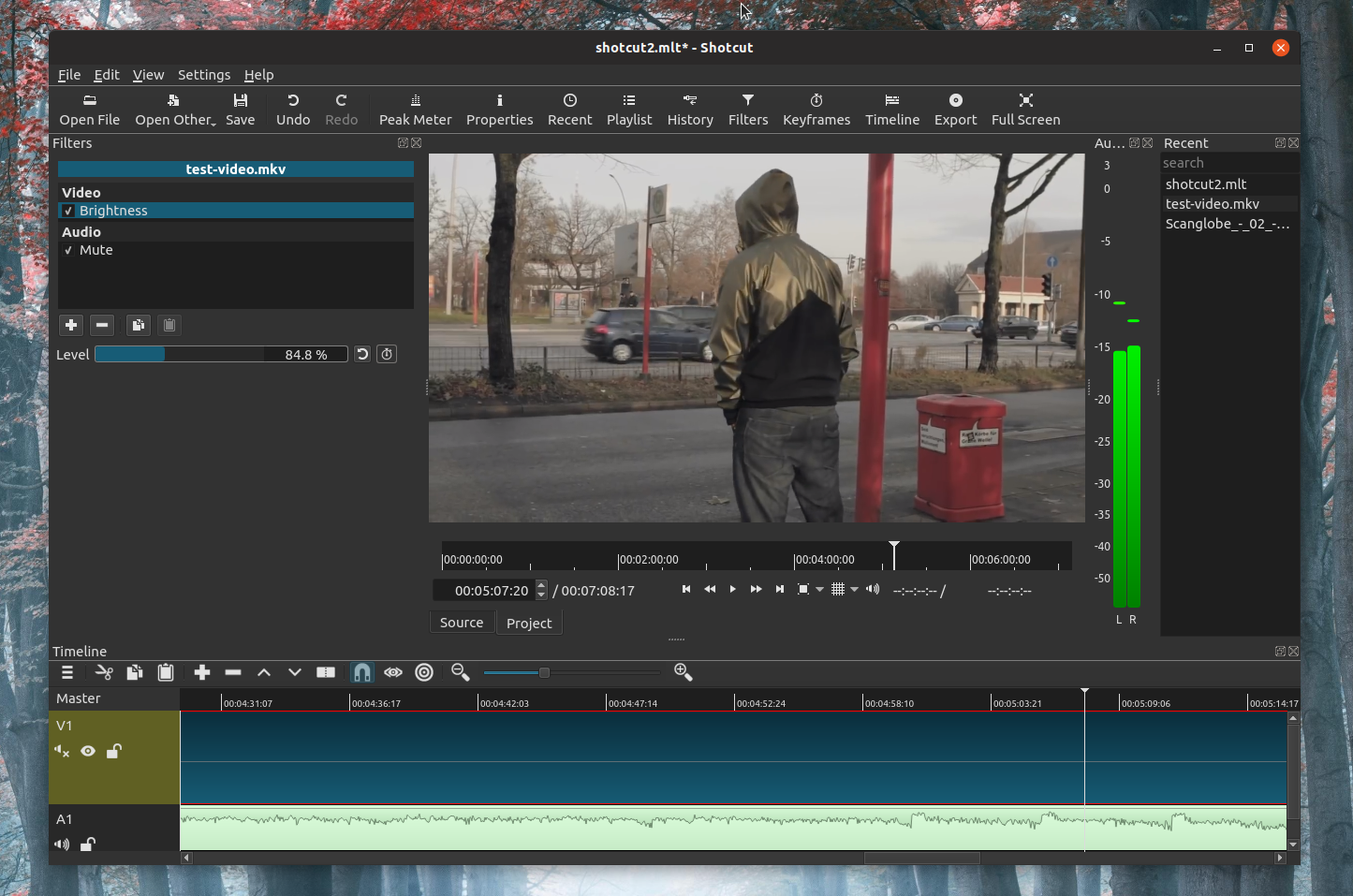 Screen video editor