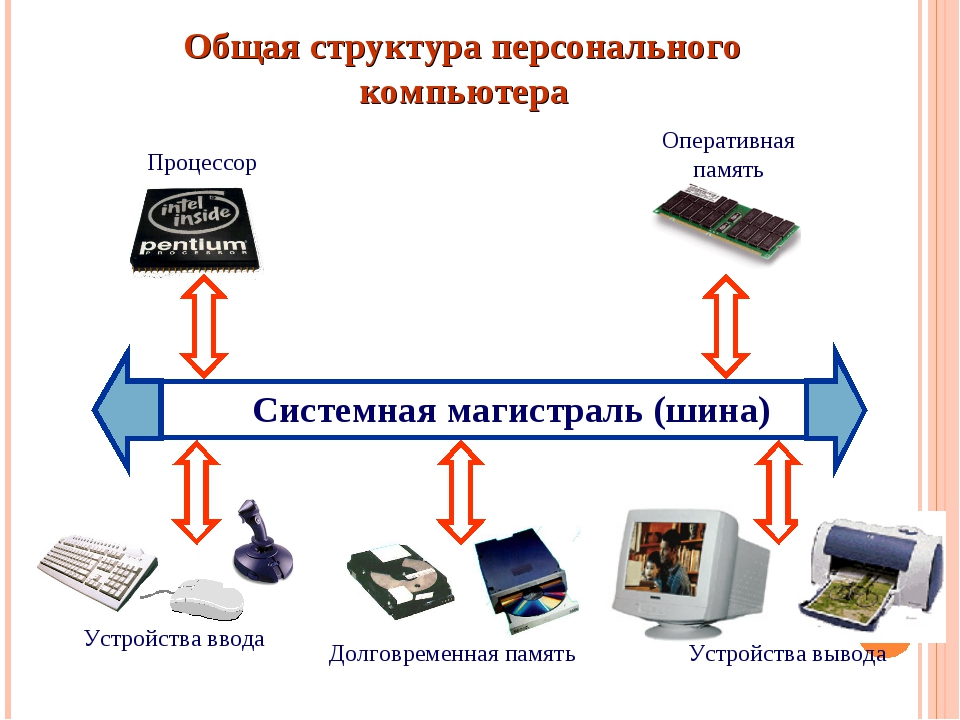 Программы обслуживания внешних устройств компьютера. Строение ПК Информатика. Состав устройств персонального компьютера. Информатика структура компьютера. Структура компьютера кратко.