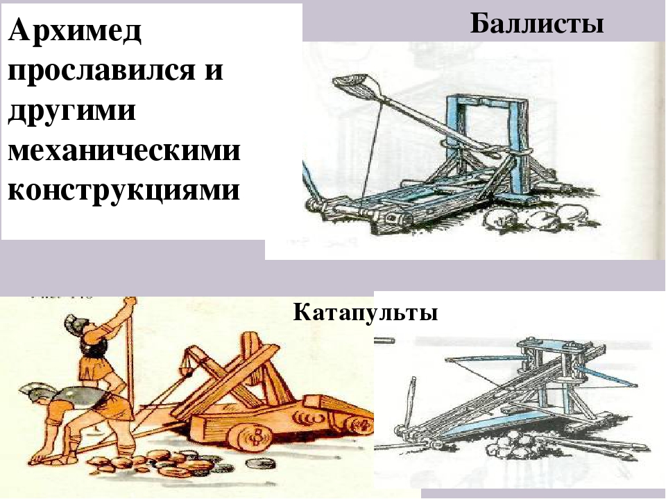 Вид катапульты сканворд 5