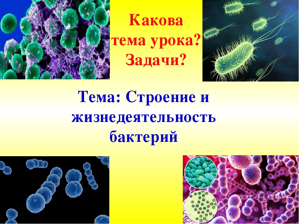 Подготовить презентацию биологическая