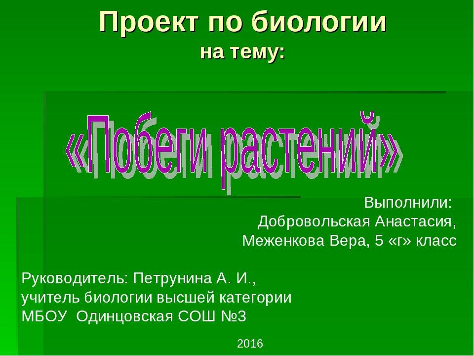 Жемчуг интерес человека в прошлом и настоящем проект