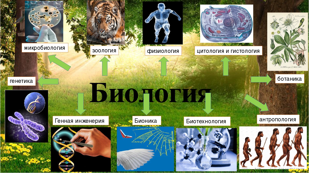 Какая наука изучает сезонные. Изучение биологии. Наука биология картинки. Биология темы. Картинки по общей биологии.