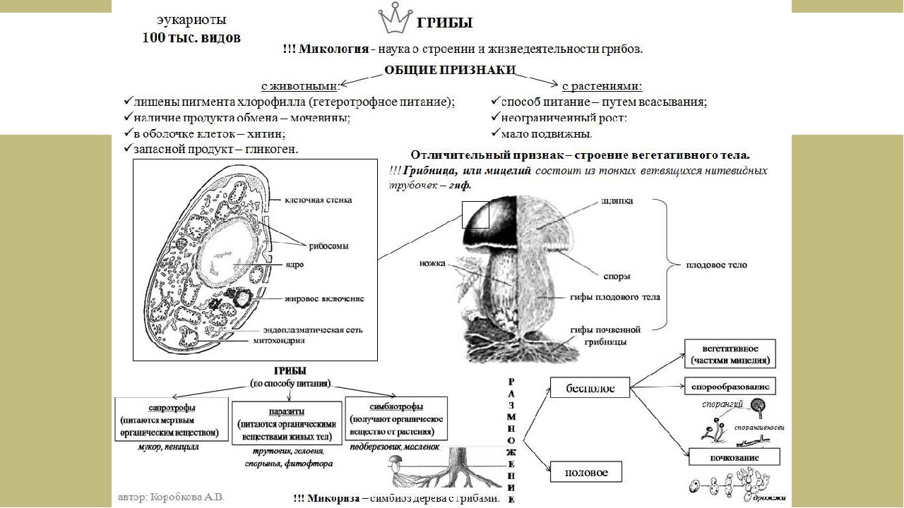 Картинки биология огэ