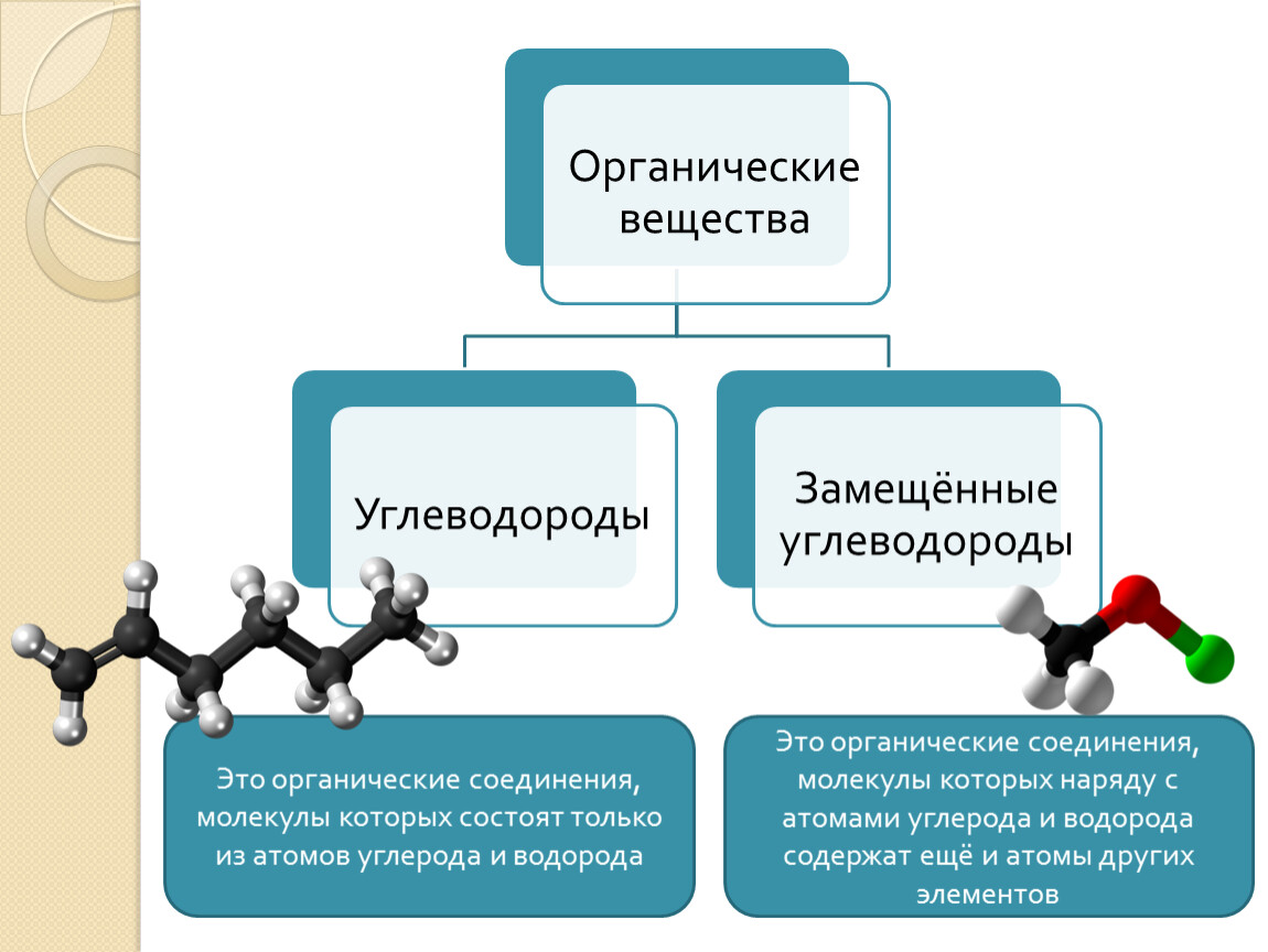 Разнообразие веществ проект