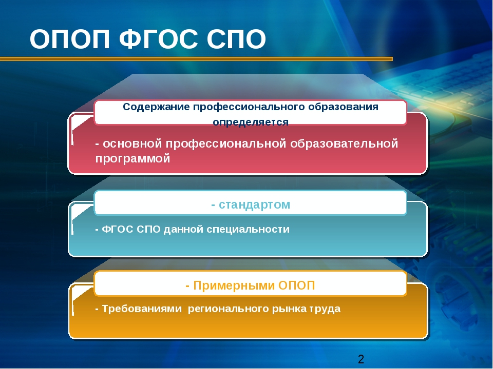 Система фгос. Образовательная программа СПО. Структура ОПОП во. Образовательные стандарты СПО. ОПОП СПО.