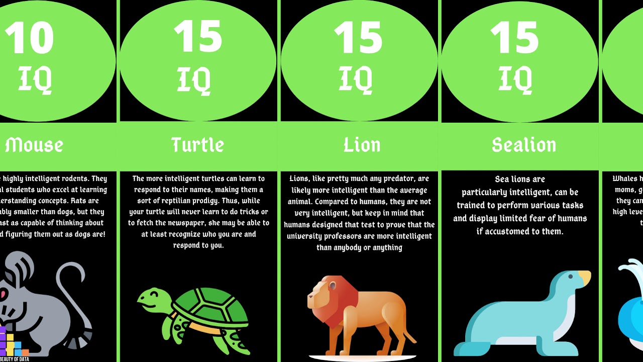 Iq таблица: Тест на IQ. Проверьте свой интеллект! - Санкт-Петербургское