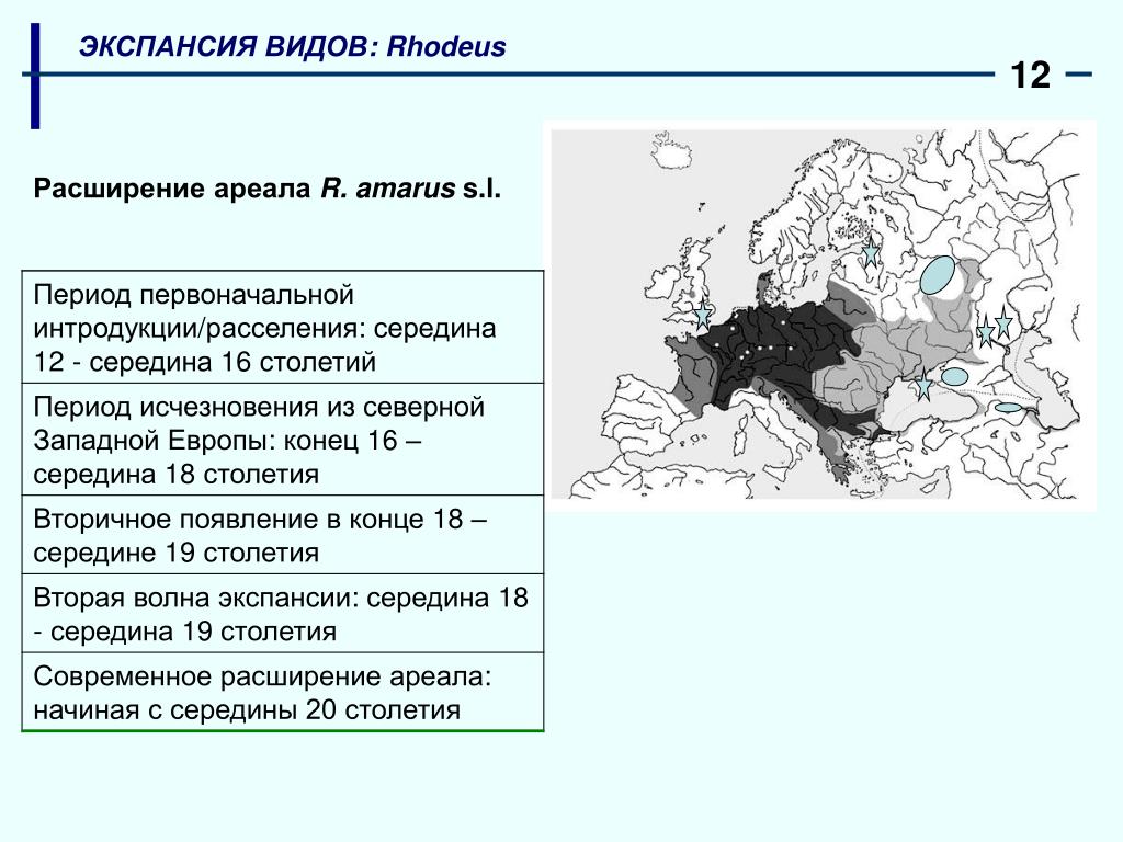 План влияние европейской культуры