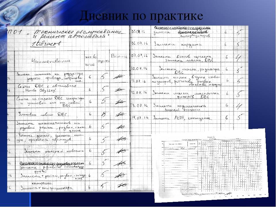 Алтгу учебные планы