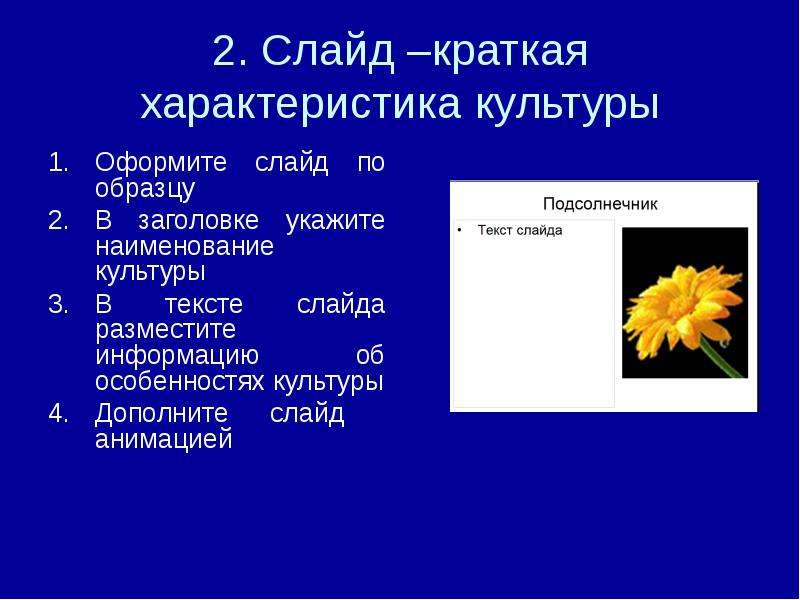 Правильное оформление презентации