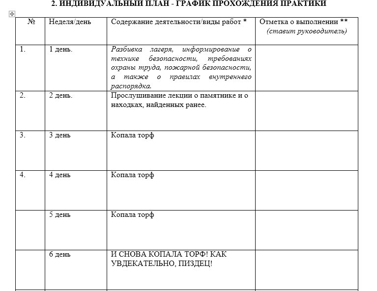 План проведения практики