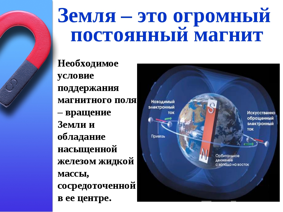 Интересные факты о магнитах: Что такое магнит: интересные факты о ...