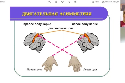 Развивает ли дота мозг