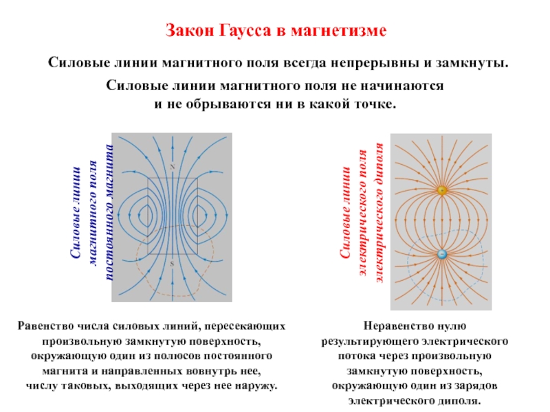 Магнитные линии земли направлены