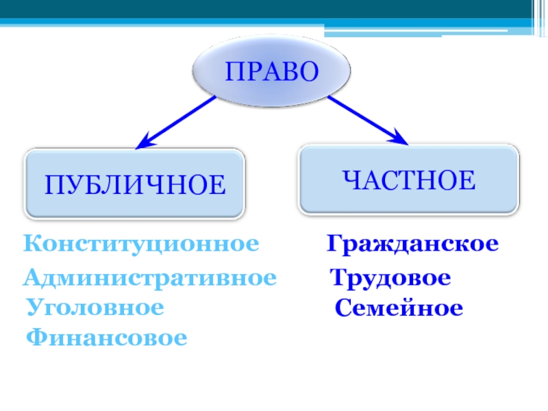 Схема публичное и частное право