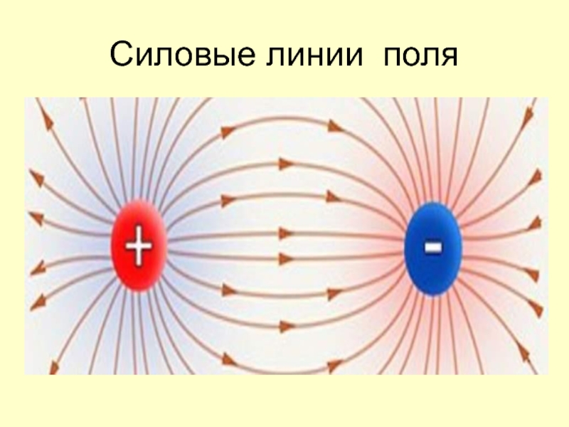 Магнитные линии магнитного поля земли рисунок