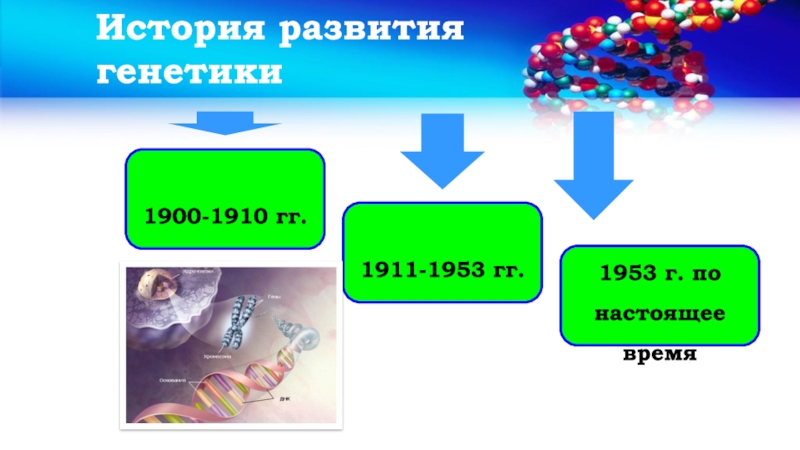 История генетики проект